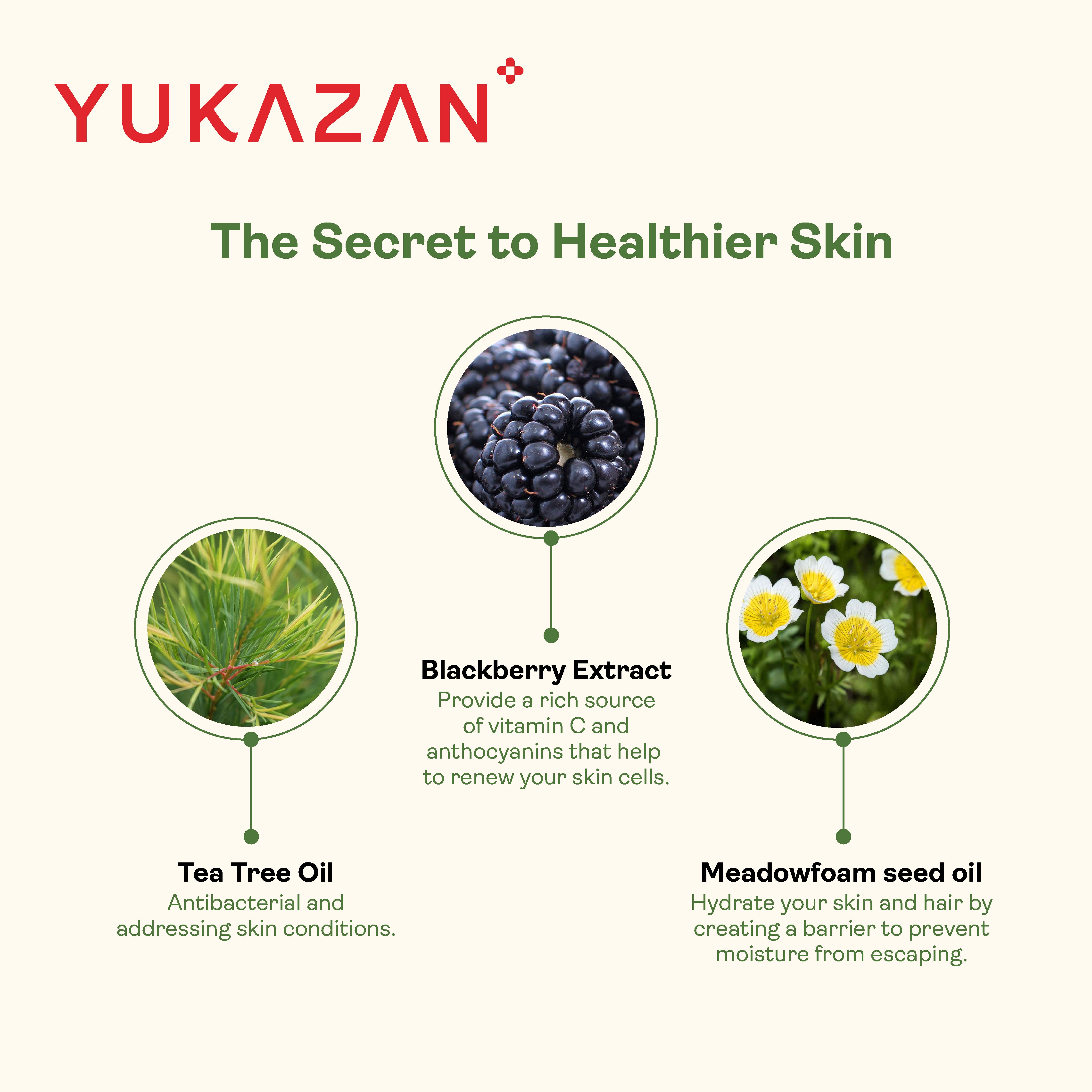 Yukazan Bluebell Body Wash 850ml Shower Foam / Antibacterial and Alcohol Free / Body Shampoo